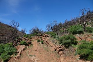 GC-Degollada de Bercera 2022-09.JPG